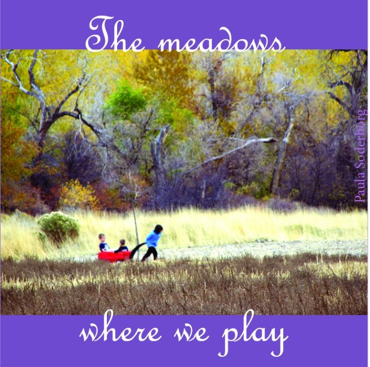 meadowsplay